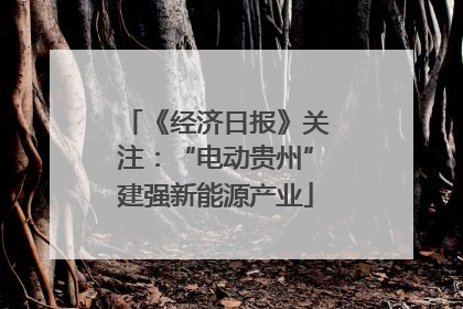 《经济日报》关注：“电动贵州”建强新能源产业