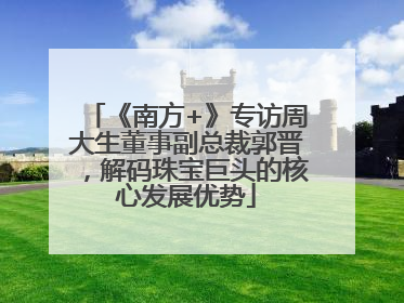 《南方+》专访周大生董事副总裁郭晋，解码珠宝巨头的核心发展优势