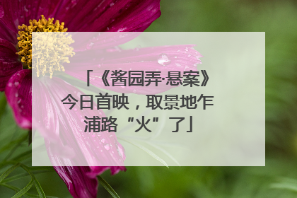 《酱园弄·悬案》今日首映，取景地乍浦路“火”了