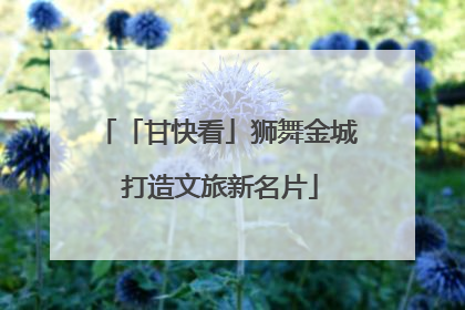「甘快看」狮舞金城 打造文旅新名片