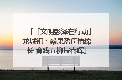 「文明彭泽在行动」龙城镇：桑果盈筐情绵长 育践五柳报春晖