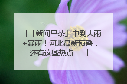 「新闻早茶」中到大雨+暴雨！河北最新预警，还有这些热点……