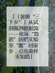 「暑期“三下乡”」从试剂瓶到数据流——化环“鲁诺”团把实验室“搬”回家乡，点亮桑梓求知路