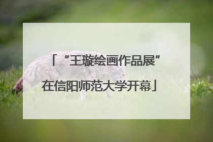 “王璇绘画作品展”在信阳师范大学开幕