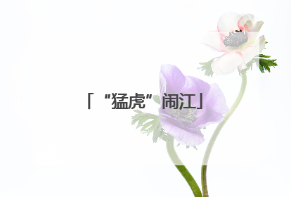 “猛虎”闹江
