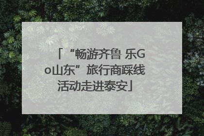 “畅游齐鲁 乐Go山东”旅行商踩线活动走进泰安