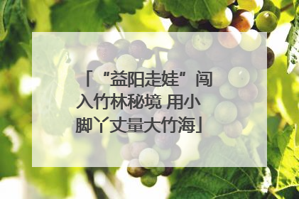 “益阳走娃”闯入竹林秘境 用小脚丫丈量大竹海