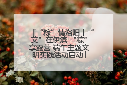“粽”情洛阳丨“艾”在伊滨 “粽”享露营 端午主题文明实践活动启动