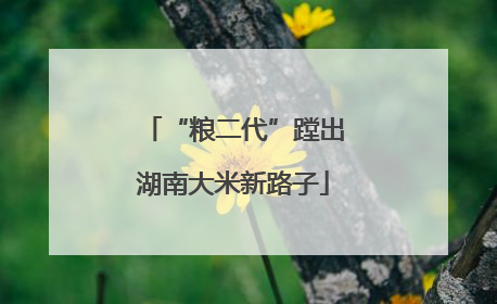 “粮二代”蹚出湖南大米新路子