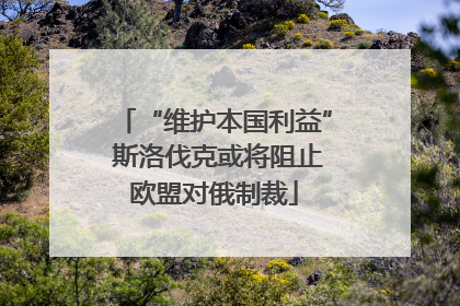 “维护本国利益” 斯洛伐克或将阻止欧盟对俄制裁
