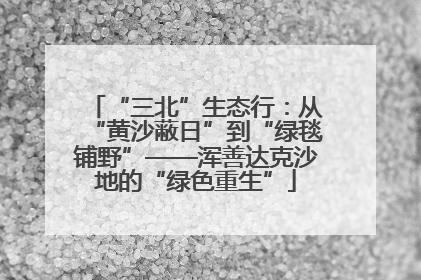 “三北”生态行：从“黄沙蔽日”到“绿毯铺野”——浑善达克沙地的“绿色重生”