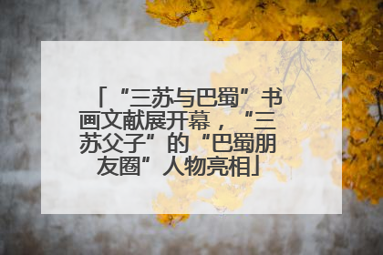 “三苏与巴蜀”书画文献展开幕，“三苏父子”的“巴蜀朋友圈”人物亮相