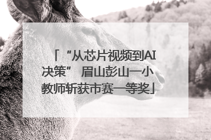“从芯片视频到AI决策” 眉山彭山一小教师斩获市赛一等奖