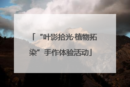 “叶影拾光·植物拓染”手作体验活动