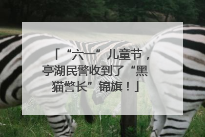 “六一”儿童节，亭湖民警收到了“黑猫警长”锦旗！