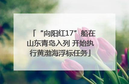 “向阳红17”船在山东青岛入列 开始执行黄渤海浮标任务
