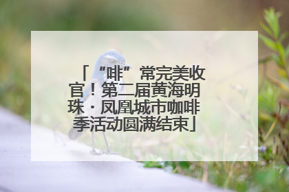 “啡”常完美收官！第二届黄海明珠・凤凰城市咖啡季活动圆满结束