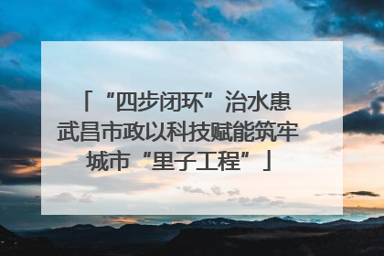“四步闭环”治水患 武昌市政以科技赋能筑牢城市“里子工程”