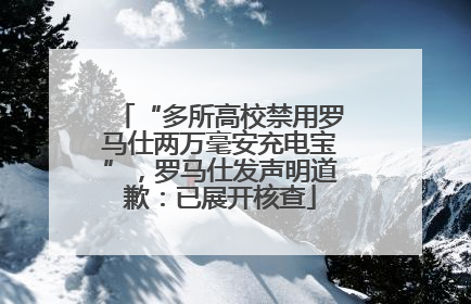 “多所高校禁用罗马仕两万毫安充电宝”，罗马仕发声明道歉：已展开核查
