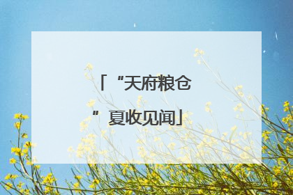 “天府粮仓”夏收见闻