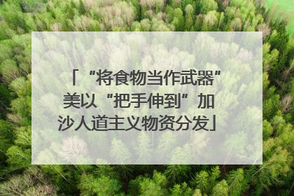 “将食物当作武器” 美以“把手伸到”加沙人道主义物资分发