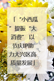 “小西瓜”提振“大消费” 以节庆IP助力大兴区高质量发展