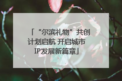 “尔滨礼物”共创计划启航 开启城市IP发展新篇章