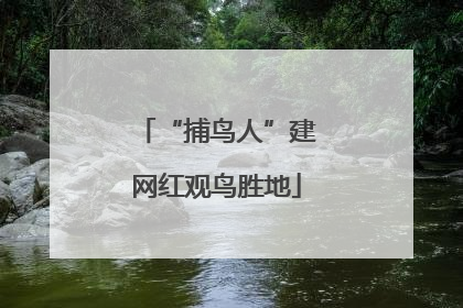 “捕鸟人”建网红观鸟胜地