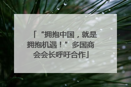 “拥抱中国，就是拥抱机遇！”多国商会会长呼吁合作