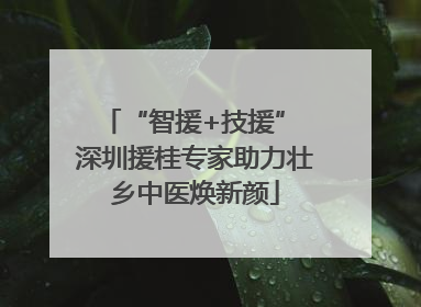 “智援+技援” 深圳援桂专家助力壮乡中医焕新颜
