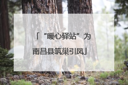 “暖心驿站”为南昌县筑巢引凤