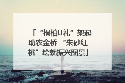 “桐柏U礼”架起助农金桥 “朱砂红桃”绘就振兴图景