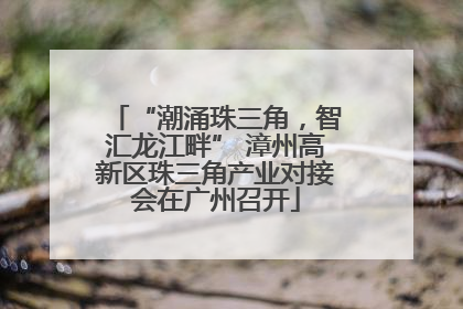 “潮涌珠三角，智汇龙江畔” 漳州高新区珠三角产业对接会在广州召开