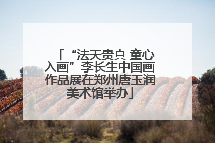 “法天贵真 童心入画”李长生中国画作品展在郑州唐玉润美术馆举办