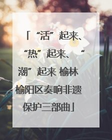 “活”起来、“热”起来、“潮”起来 榆林榆阳区奏响非遗保护三部曲