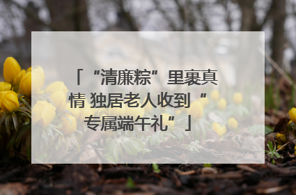 “清廉粽”里裹真情 独居老人收到“专属端午礼”