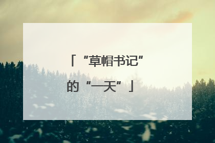 “草帽书记”的“一天”
