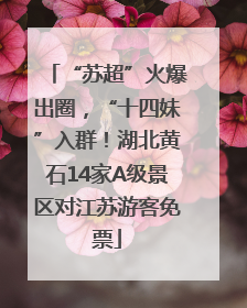 “苏超”火爆出圈，“十四妹”入群！湖北黄石14家A级景区对江苏游客免票