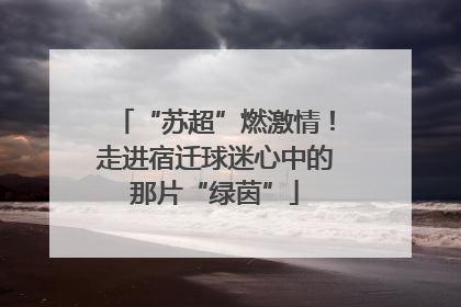 “苏超”燃激情！走进宿迁球迷心中的那片“绿茵”
