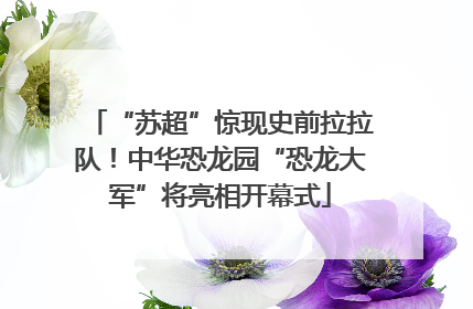 “苏超”惊现史前拉拉队！中华恐龙园“恐龙大军”将亮相开幕式