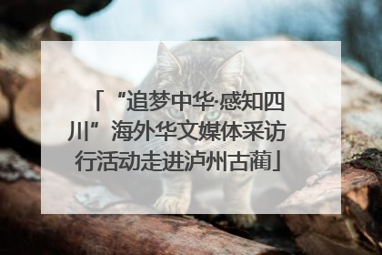 “追梦中华·感知四川”海外华文媒体采访行活动走进泸州古蔺