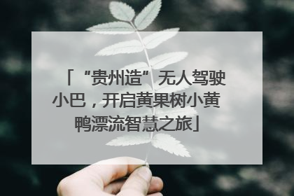 “贵州造”无人驾驶小巴，开启黄果树小黄鸭漂流智慧之旅