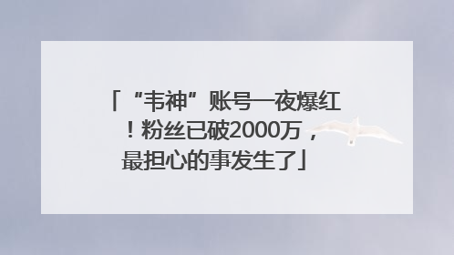 “韦神”账号一夜爆红！粉丝已破2000万，最担心的事发生了