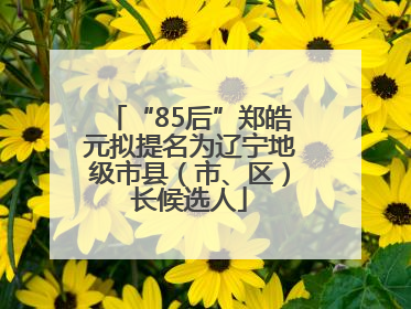 “85后”郑皓元拟提名为辽宁地级市县（市、区）长候选人