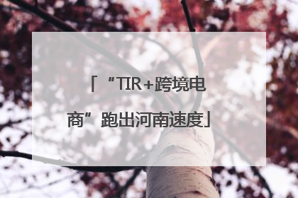 “TIR+跨境电商”跑出河南速度