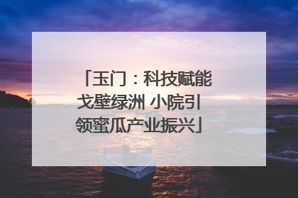玉门：科技赋能戈壁绿洲 小院引领蜜瓜产业振兴