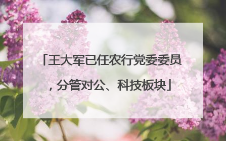 王大军已任农行党委委员，分管对公、科技板块
