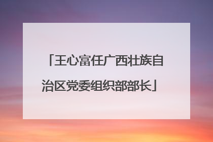 王心富任广西壮族自治区党委组织部部长