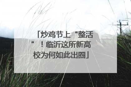炒鸡节上“整活”！临沂这所新高校为何如此出圈