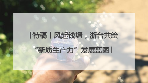 特稿丨风起钱塘，浙台共绘“新质生产力”发展蓝图
